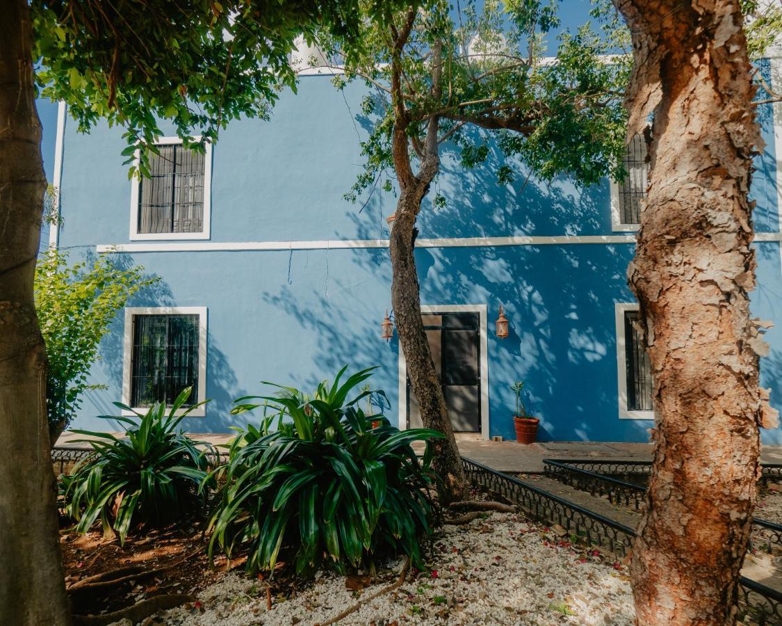 Nido Colibri - Private Rooms And Hostel Dorms In Remate De Paseo Montejo Mérida Exterior photo