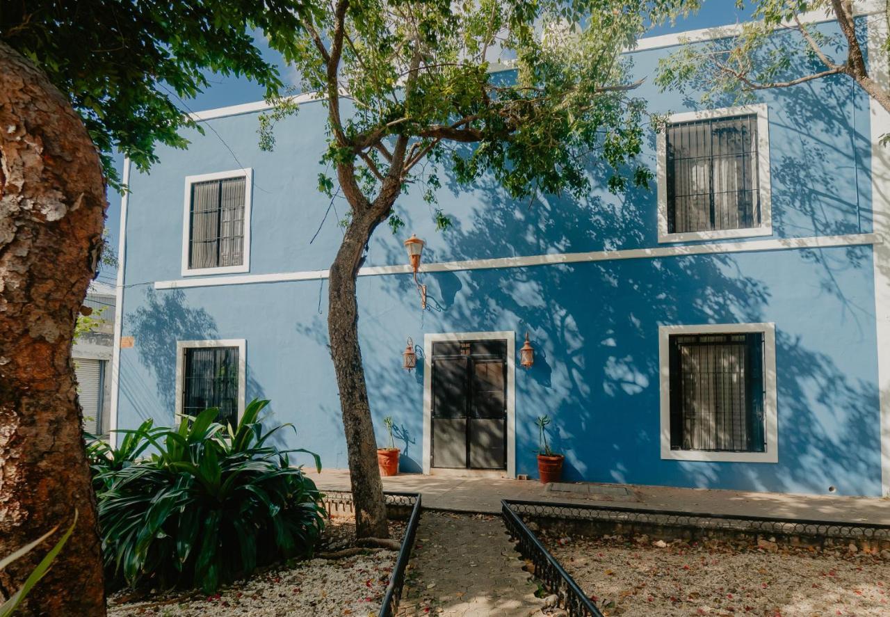 Nido Colibri - Private Rooms And Hostel Dorms In Remate De Paseo Montejo Mérida Exterior photo