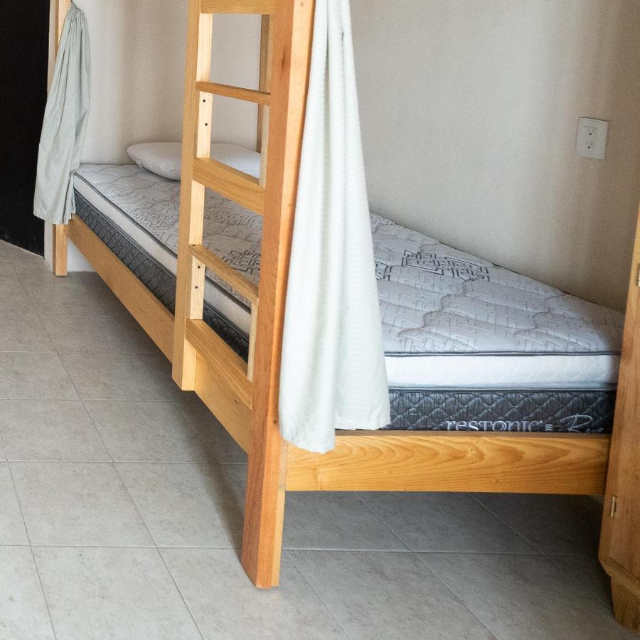 Nido Colibri - Private Rooms And Hostel Dorms In Remate De Paseo Montejo Mérida Exterior photo