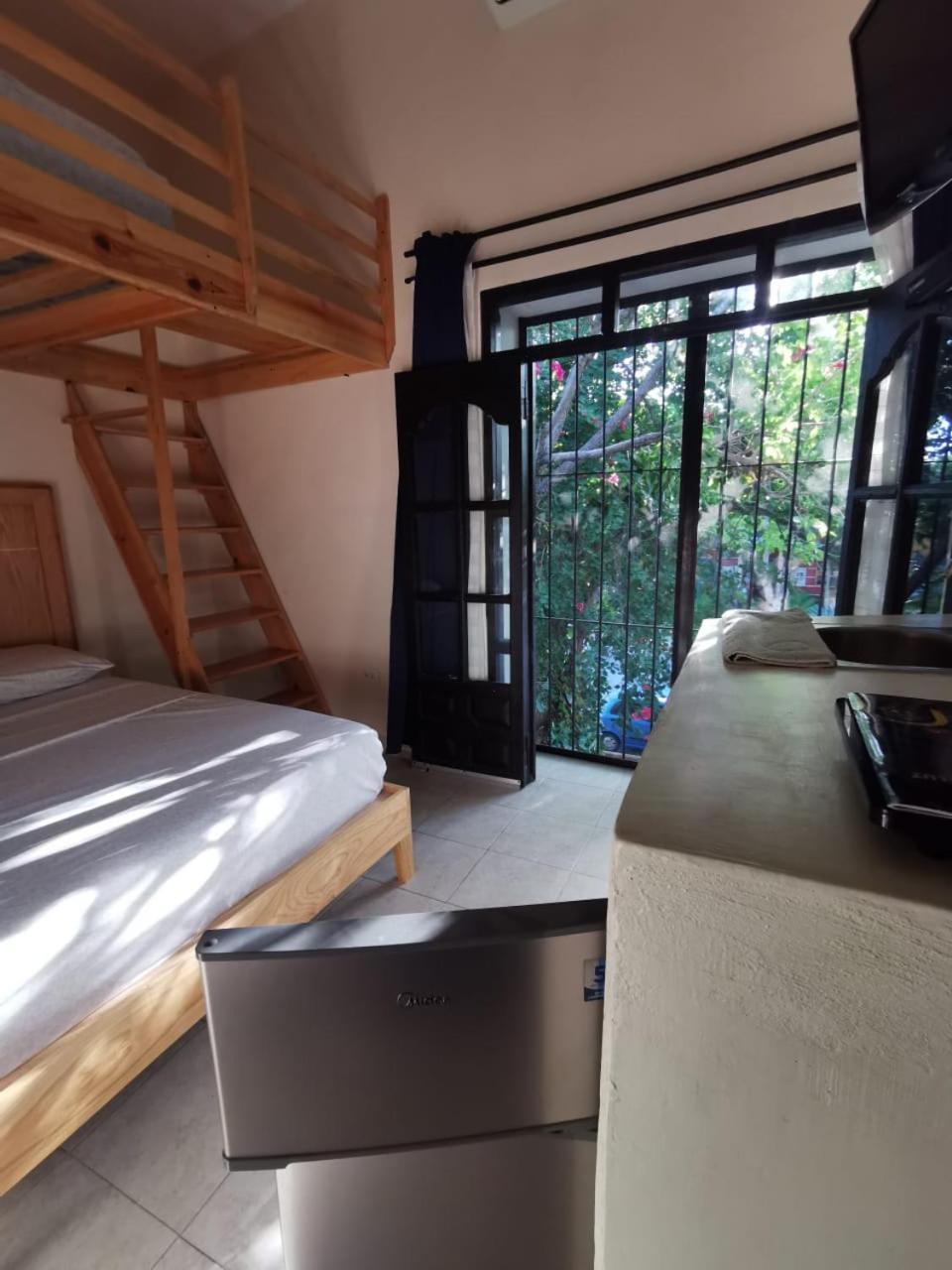 Nido Colibri - Private Rooms And Hostel Dorms In Remate De Paseo Montejo Mérida Exterior photo